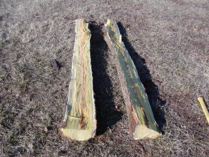 first split opened up P1010004 300x225 Splitting an osage log into bow staves