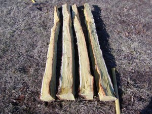 split into quarters P1010007 300x225 Splitting an osage log into bow staves