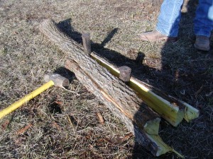 splitting the log in half p10100101 300x225 Splitting an osage log into bow staves